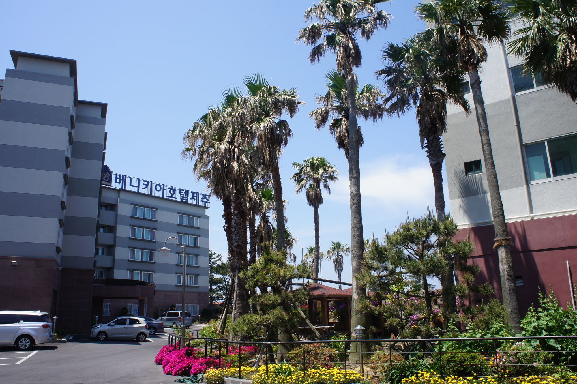 Benikea Hotel Jeju Exterior foto