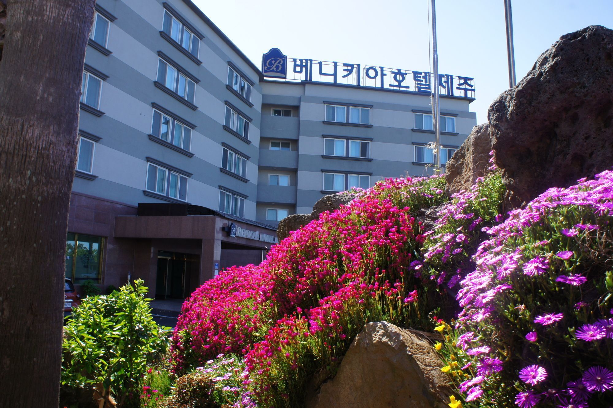 Benikea Hotel Jeju Exterior foto